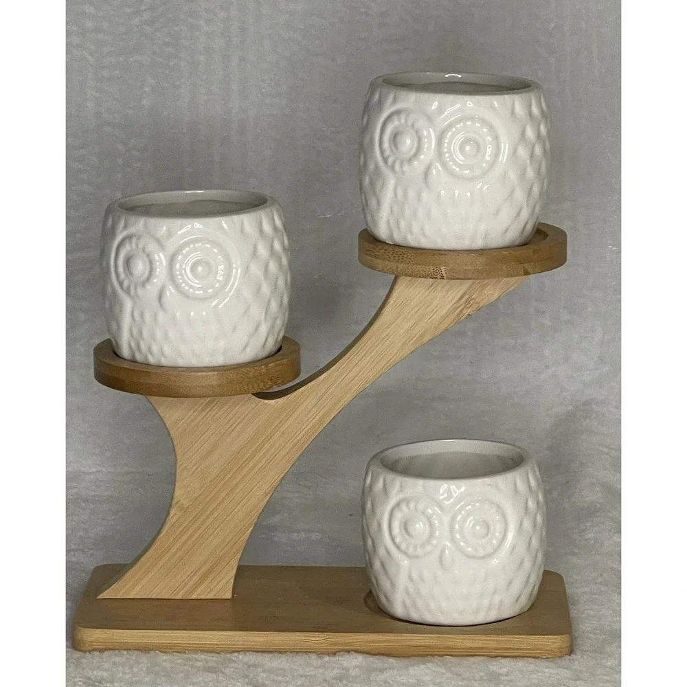 3pcs White Owl Succulent Pots with 3 Tier Bamboo Saucers Stand Holder Cacti Herb